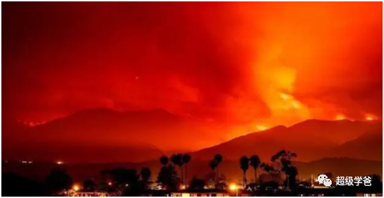 苛政猛于911——全国病毒肆虐，整个西海岸都在燃烧！