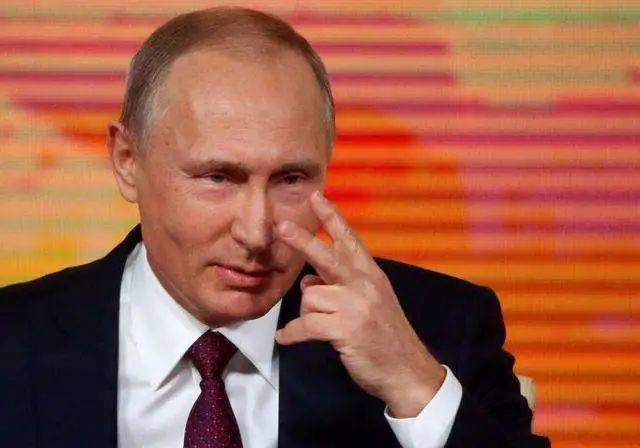 深度 | 什么样的毛熊才是好毛熊！