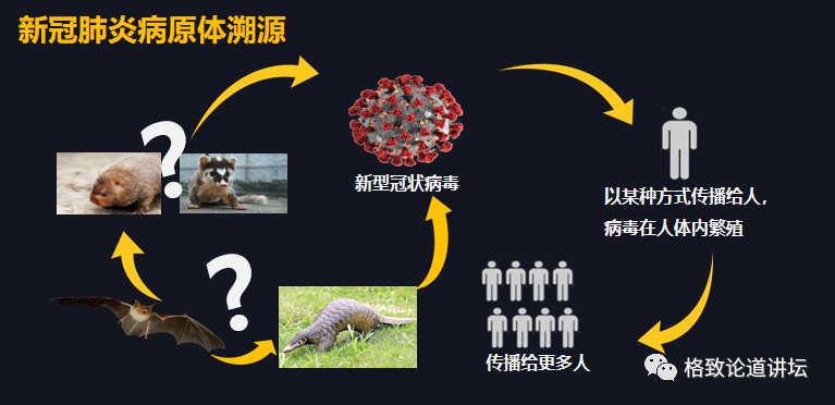 中国首款医用口罩，竟是因为110年前那群东北旱獭……