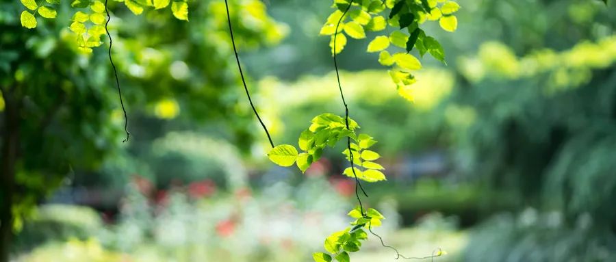 《易经》智慧：人到中年，领悟了这三句话，你会越来越顺，越来越好！