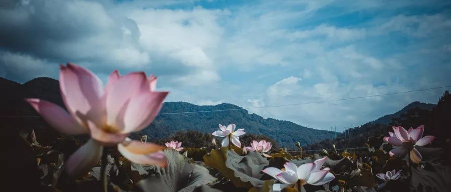 做人，败于三忌，成于三悟！