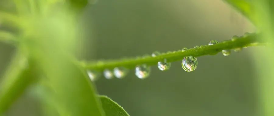 三个真实的故事，发人深省！