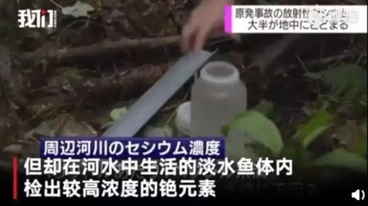 日本的“脏水”，总有人抢着舔！