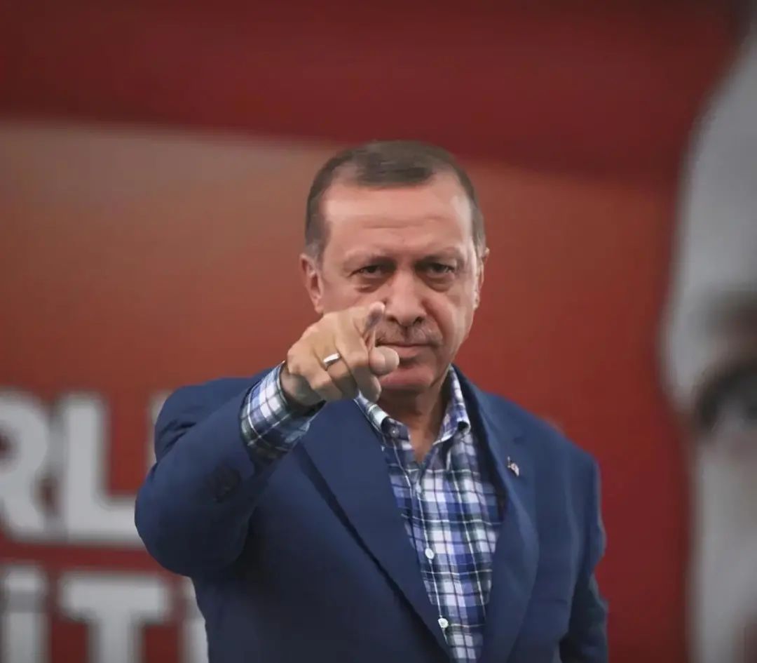 埃尔多安“促进”俄欧缓和！