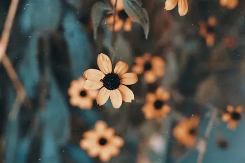 让生活越来越充实的六种方式（值得收藏！）