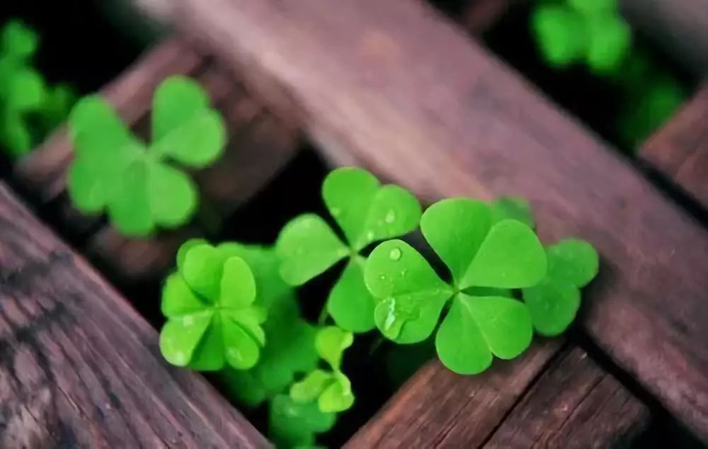 别！（深度好文）