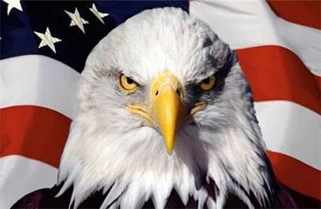 很多中国人对美国的了解，太肤浅、太单纯、太天真！