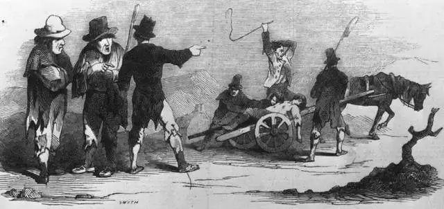 工业革命的廉价燃料，十九世纪的爱尔兰人！