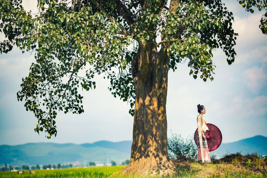 沉淀自己（此文无价）！