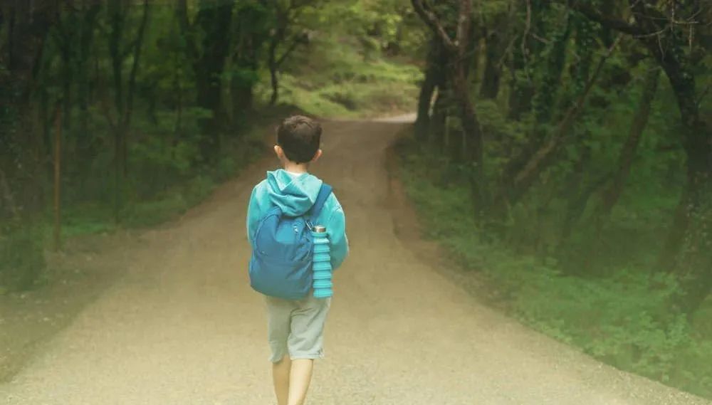 任何事业的成功，都弥补不了你教育孩子的失败（此文无价）！