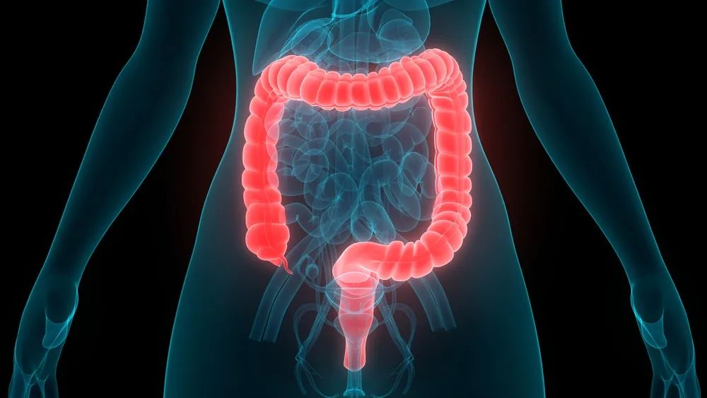 年年体检，为何还没能揪出肠癌？肛肠科医生透露4个原因！