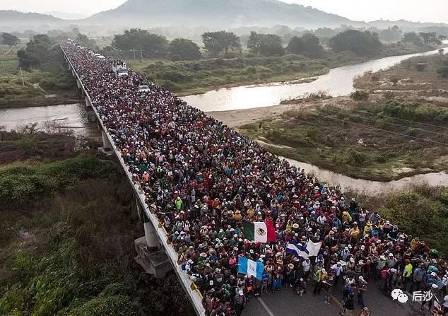 哈里斯开门迎客，美国好日子在后头，非法移民向美进军了！