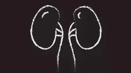 9类人的肾容易出事儿，这些表现说明它要“罢工”了！