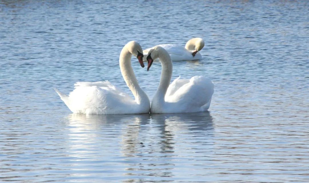 无微不至的伤害（经典好文）！