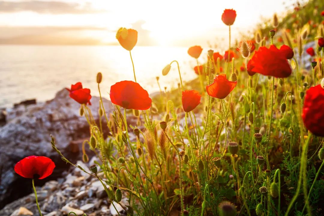 没有见识的努力，都是瞎忙！