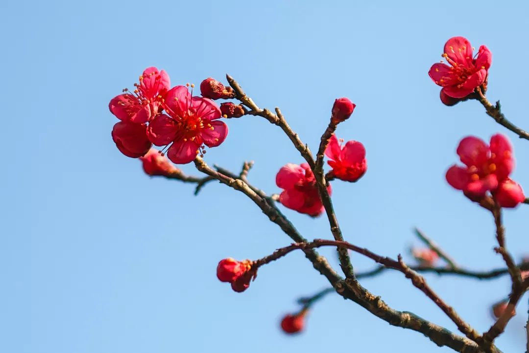 1月再见，2月你好！