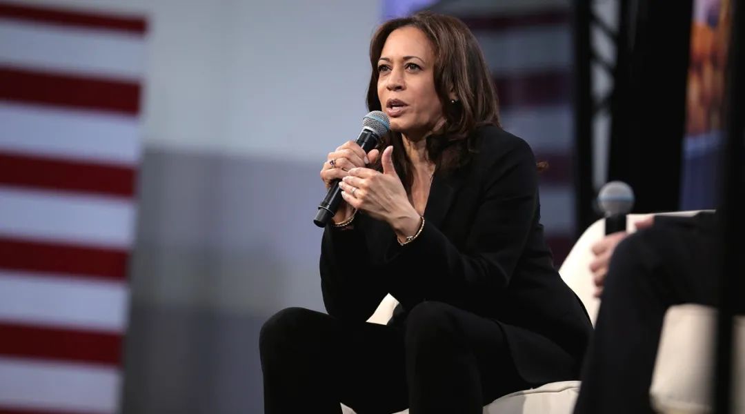 美国副总统哈里斯：一个很有故事的女同学！