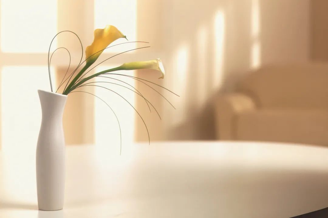 圈子虽小，舒服就好！