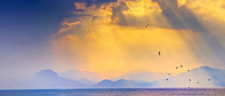 老祖宗留下的30句话，说尽世间百态！