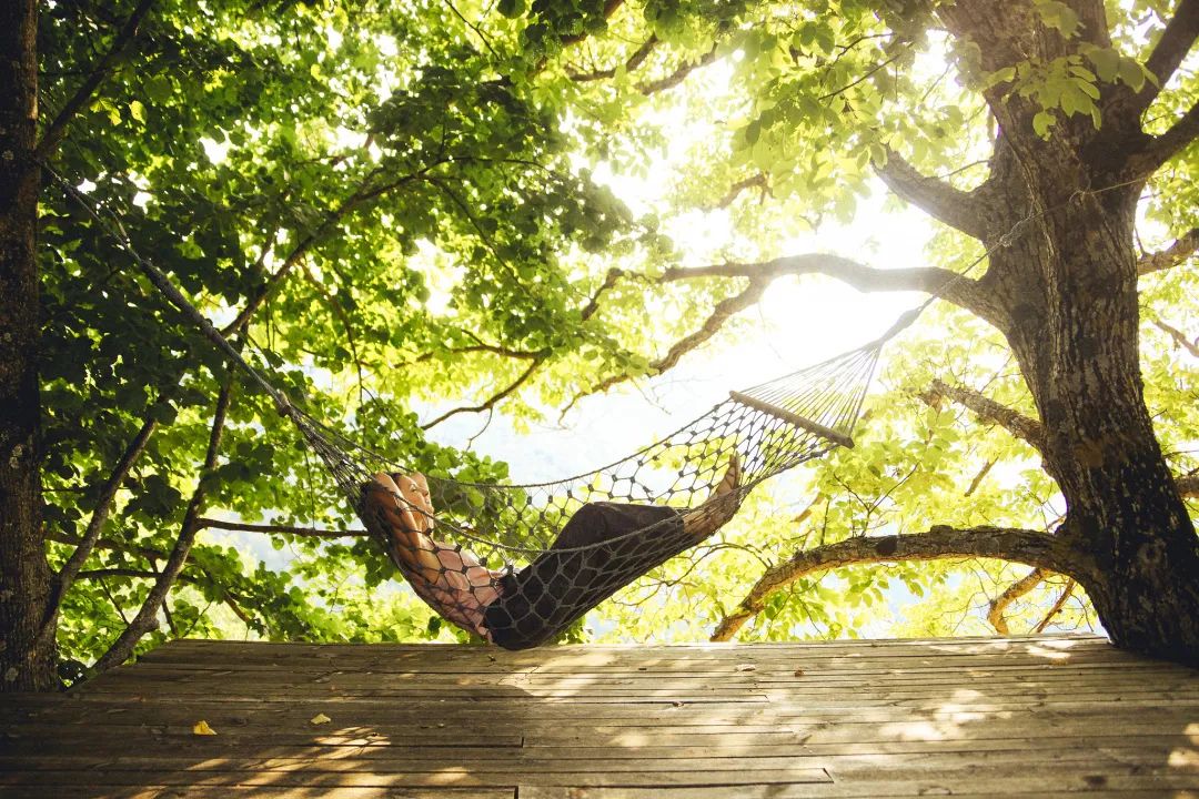 懂得放下，才算真正拥有！