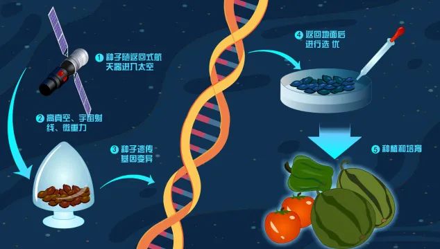 除了航天员，“它们”也带着任务上了天！