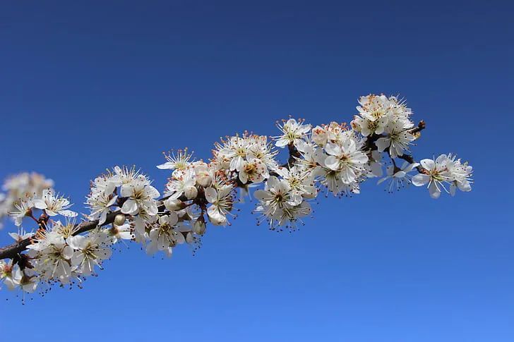 一切随缘，自有深意！
