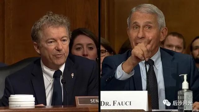 愤怒的福奇和肮脏的美国政治！