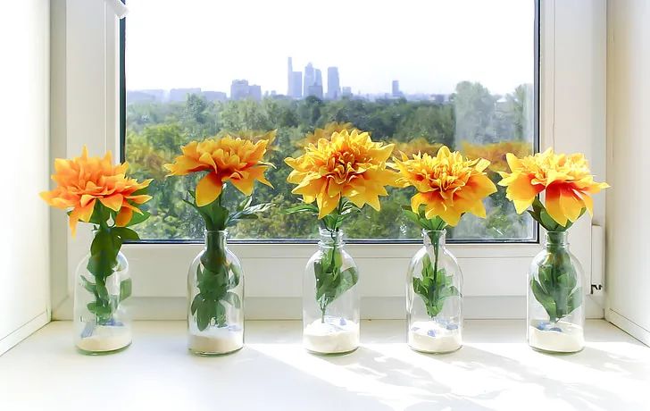 少言是修养，闭嘴是智慧！