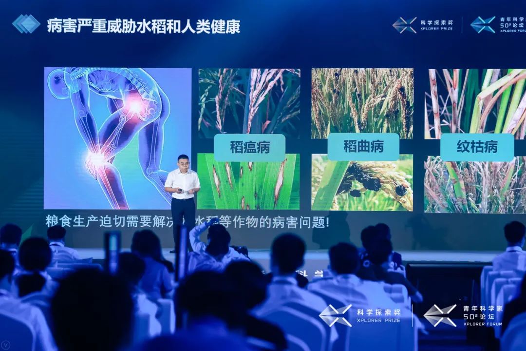 中国基础科学，不缺守夜人！