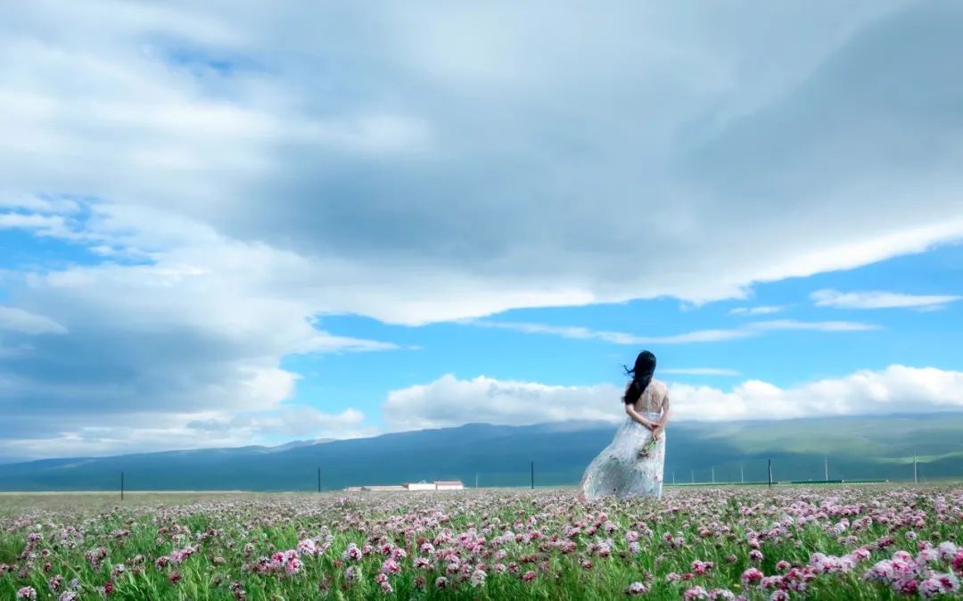 成年人处世潜规则：请收起你的“高情商”！