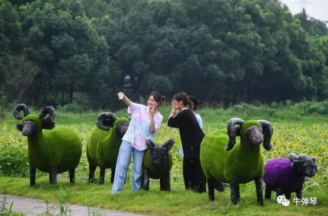 这是时代的洪流！