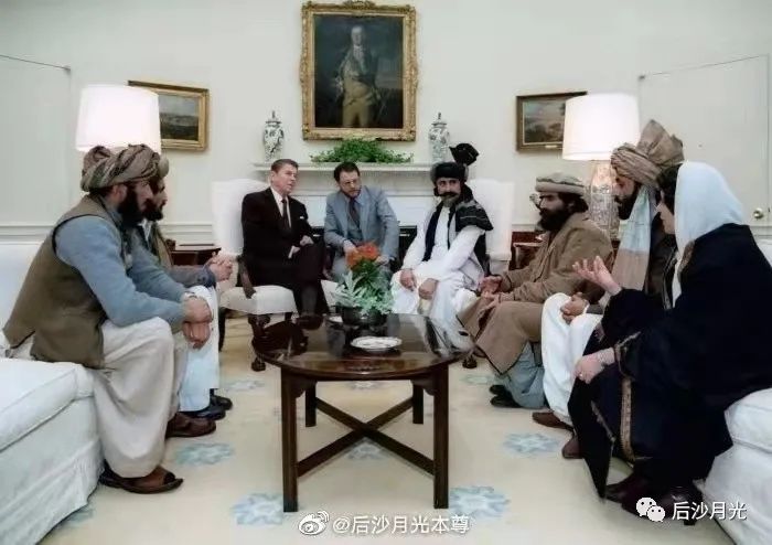 美国与塔利班的孽缘！