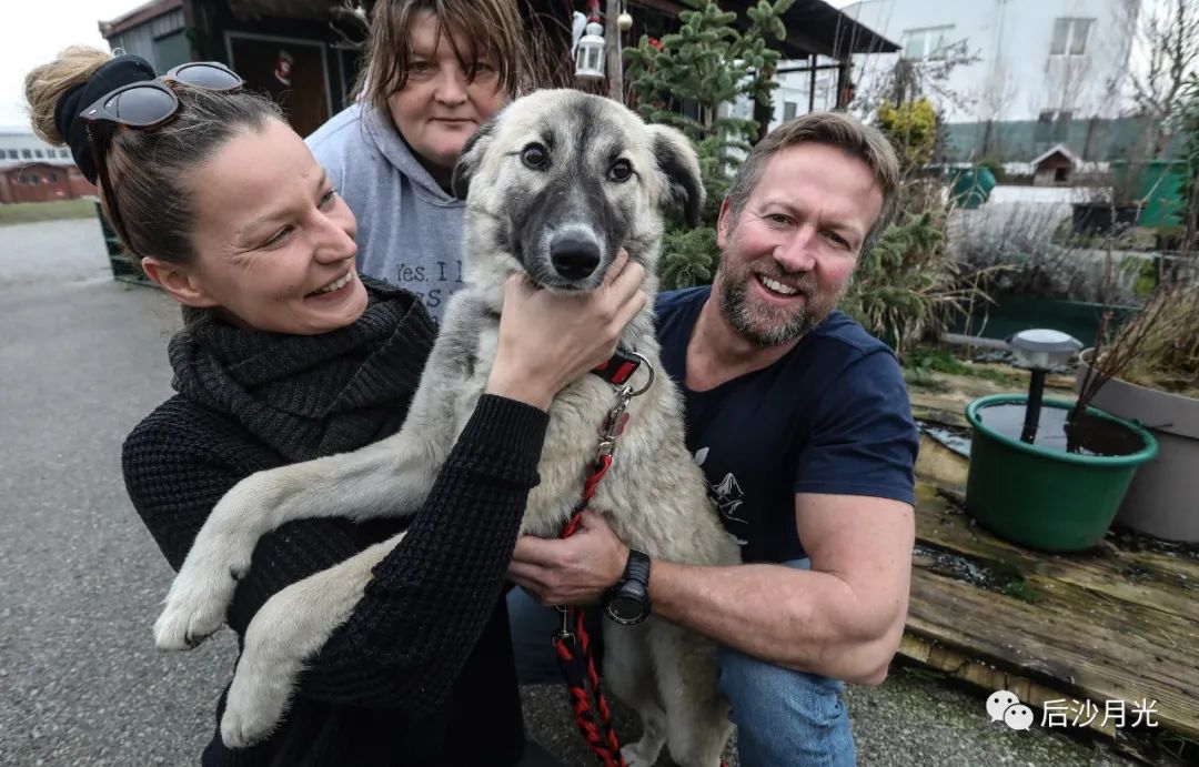 人不如狗！英国在阿富汗告诉你什么叫“人权”？