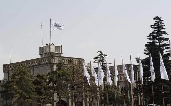 俄罗斯法国突然发声，影响重大！