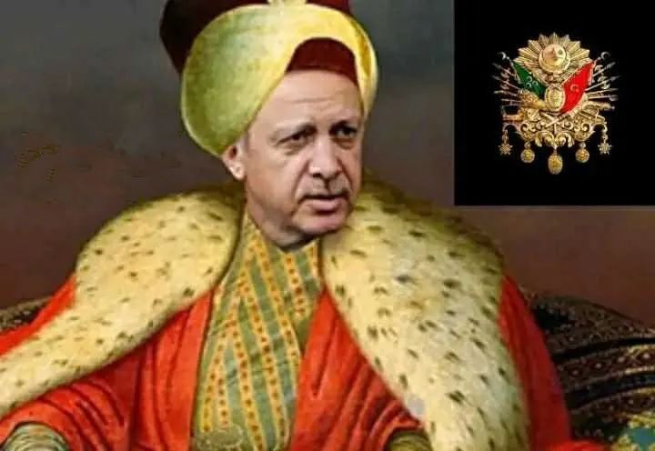 苏丹附体！埃尔多安造五常的反！