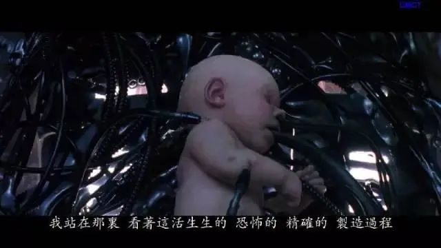 马斯克、扎克伯格与G20的新两税！