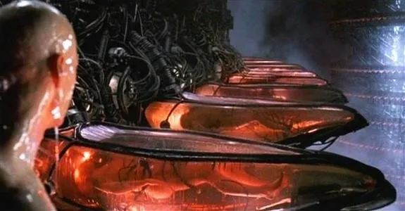 元宇宙会不会成为圈禁人类的 “最终陷阱”？
