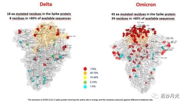 之前污蔑中国“清零政策”，现在手忙脚乱抄作业！