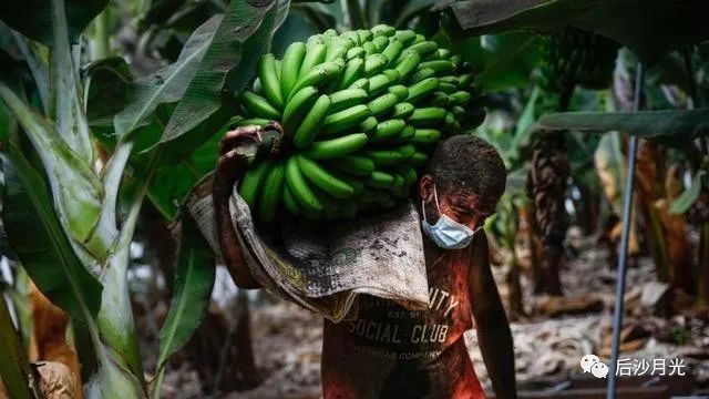 不想当狗！准备“弃台”的洪都拉斯是怎样一个国家？