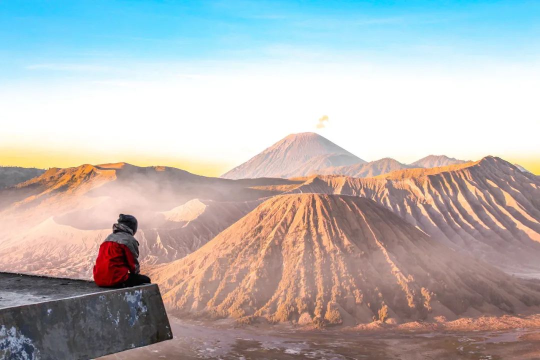 “杀死”那头奶牛（深度好文）！