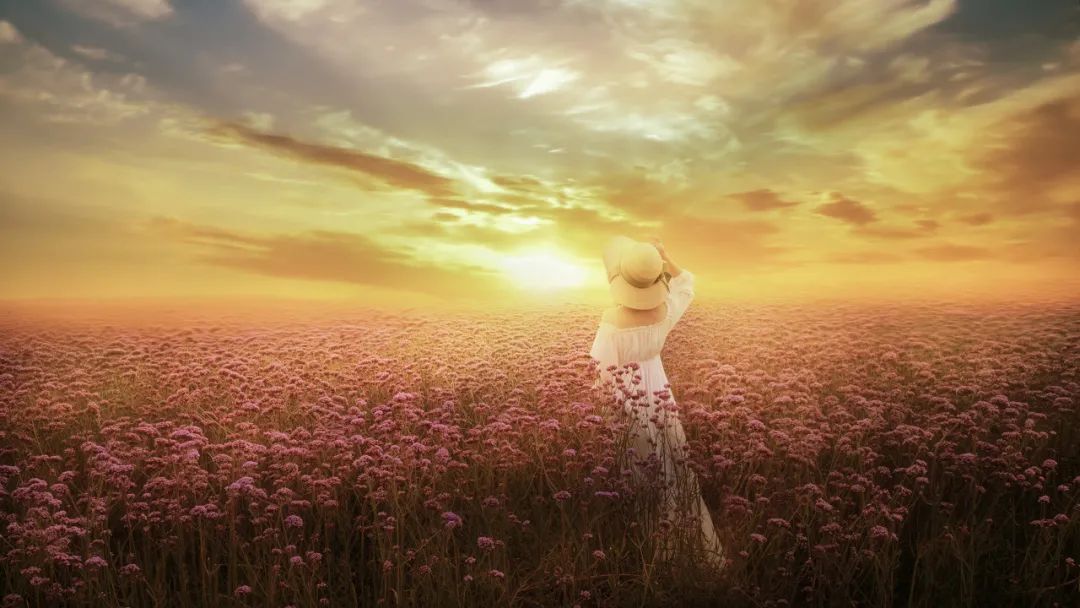 有一种聪明，叫示弱（深度好文）！