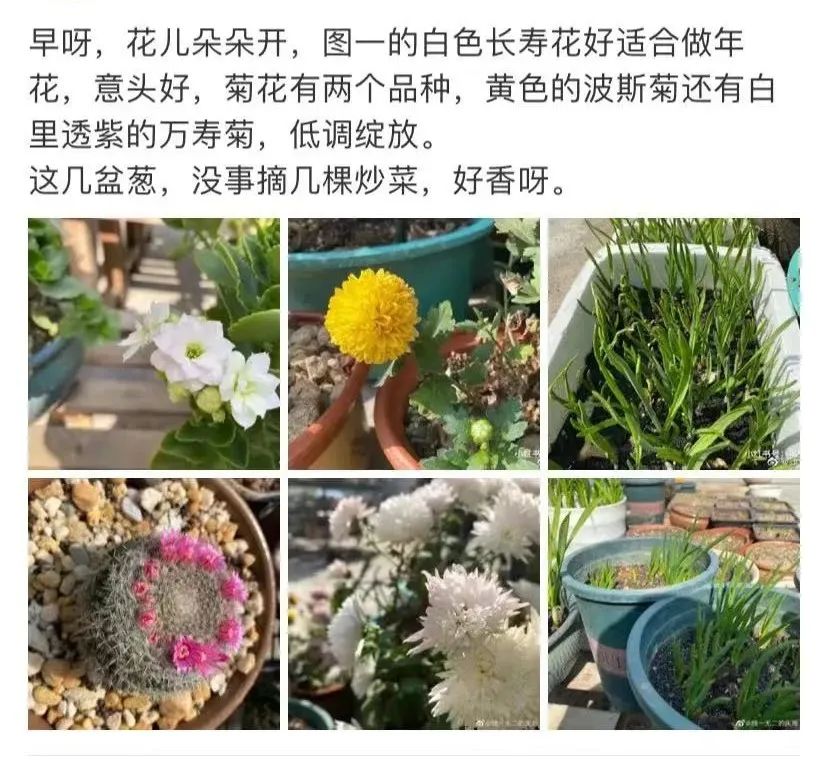 7个改造生活良方，收获舒畅不慌的2022！