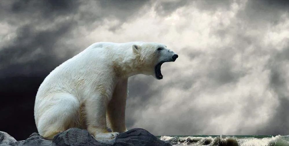 俄罗斯的力量源泉！