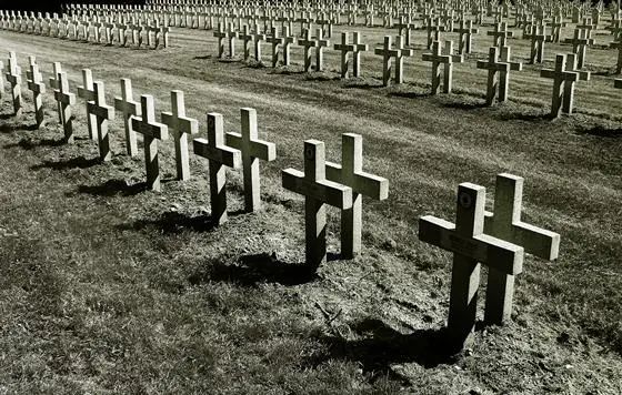 致立陶宛：死人是不需要道歉的！