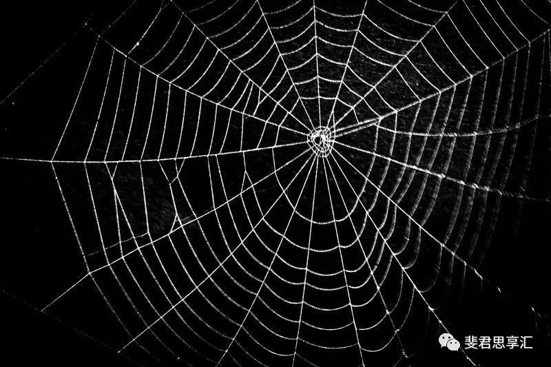 细思极恐！揭秘西方控制世界的巨型网络和无形纽带！