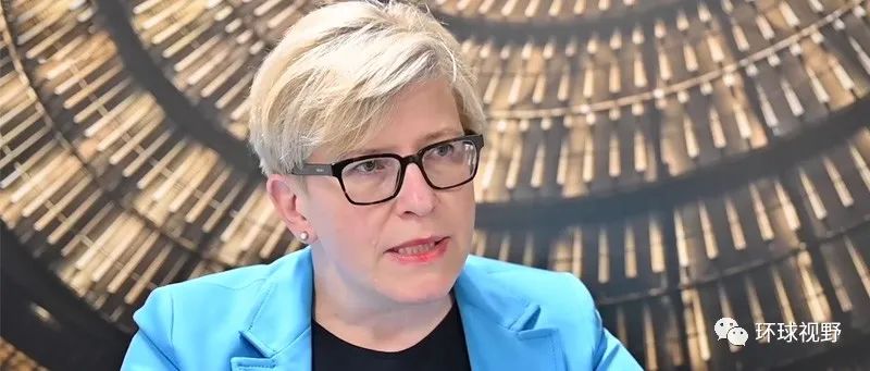 欧盟，坑立陶宛！