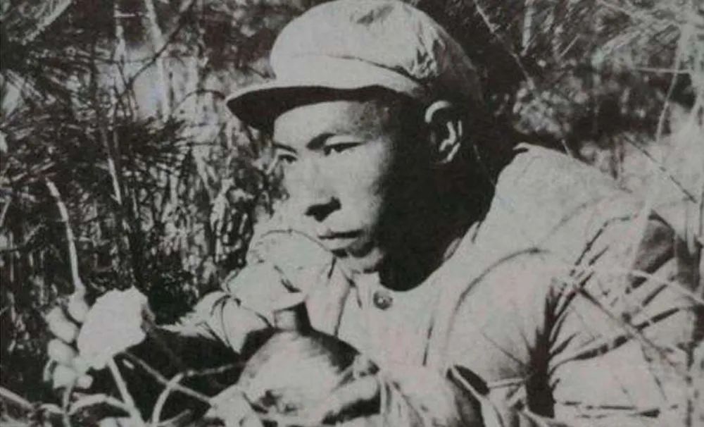 点击查看图片来源 图片