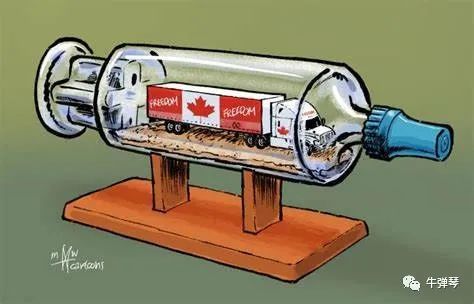 加拿大人急了，美国你正向我输出暴乱！