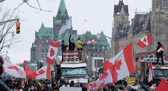 当狗那么容易的吗？美国NGO进军加拿大.....