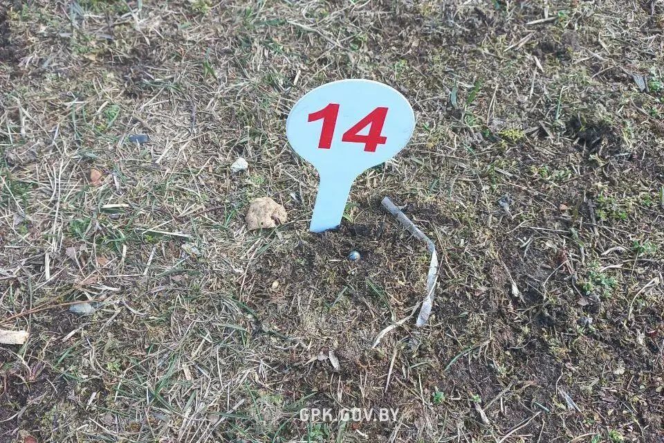 刚刚发生两件大事：波兰开火，俄防长宣告乌失去赎罪机会！